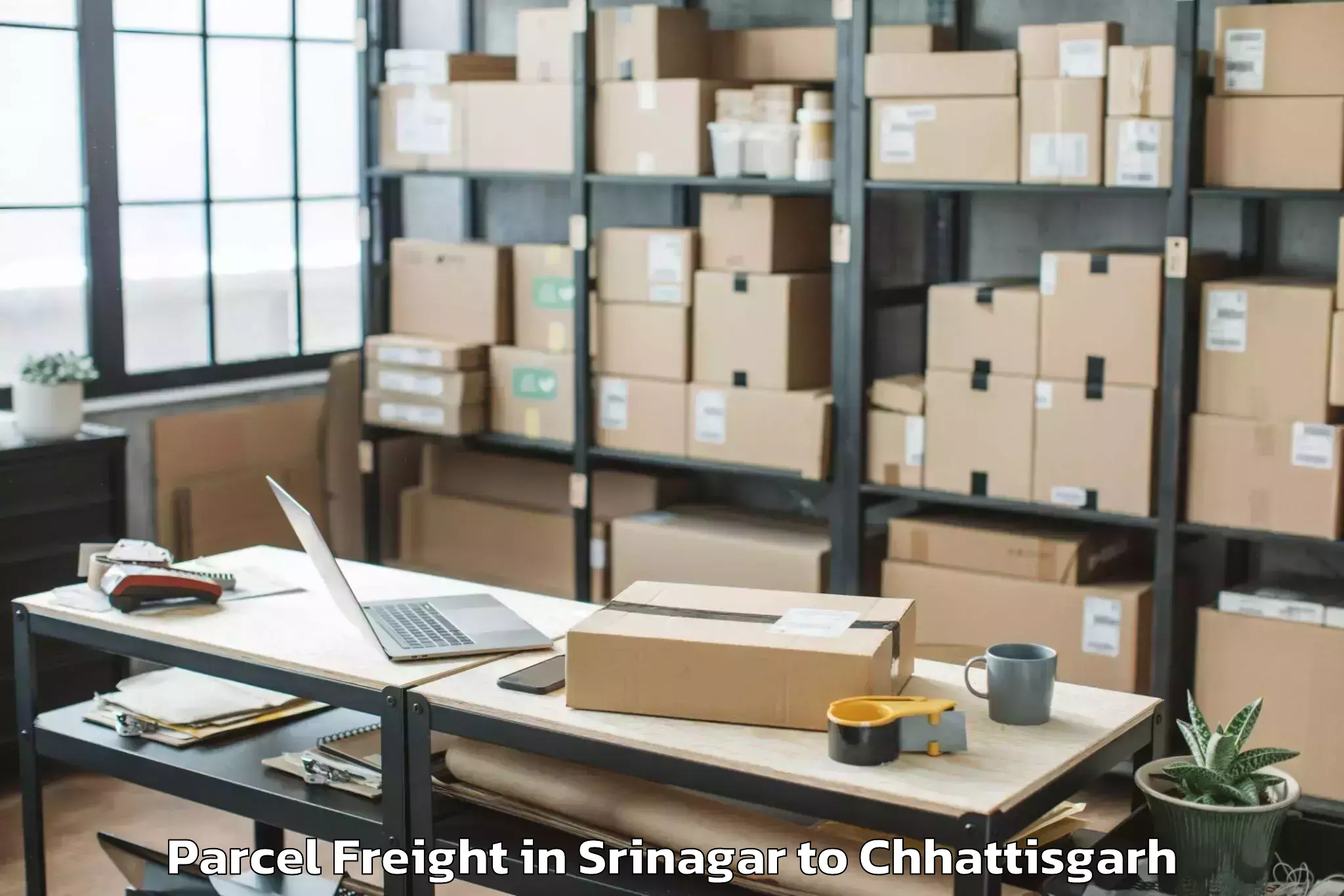 Discover Srinagar to Bhanupratappur Parcel Freight